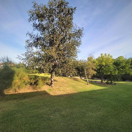 Appartement A Hendaye Avec Piscine Et A Cote De La Plage Εξωτερικό φωτογραφία